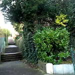 Petite Bellevue II